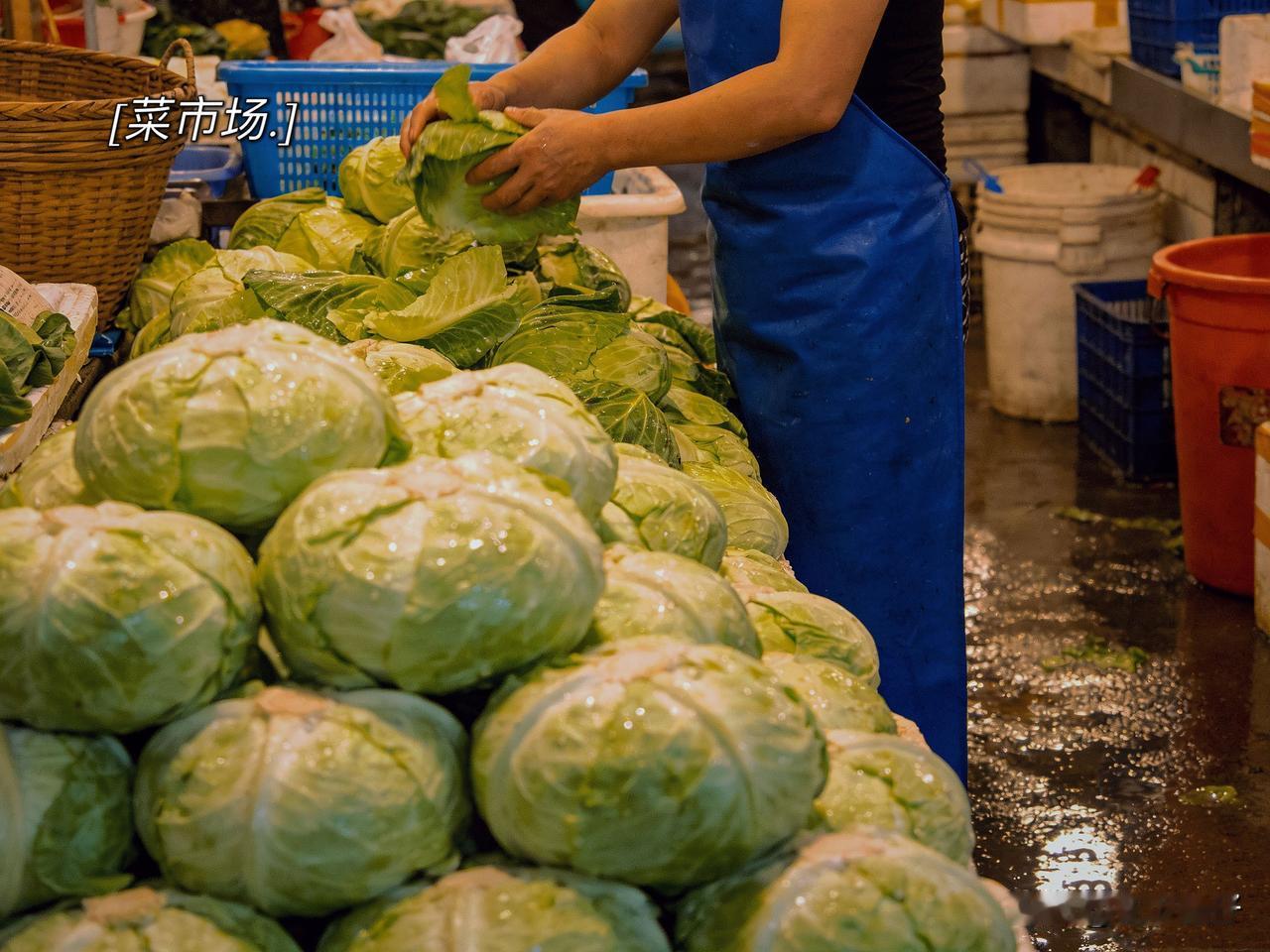 包菜在我们这边最常被称为莲花白，也有叫包包白（或包包兰）的。

       说