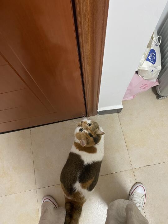 麻麻酱，请帮咪开门思密达