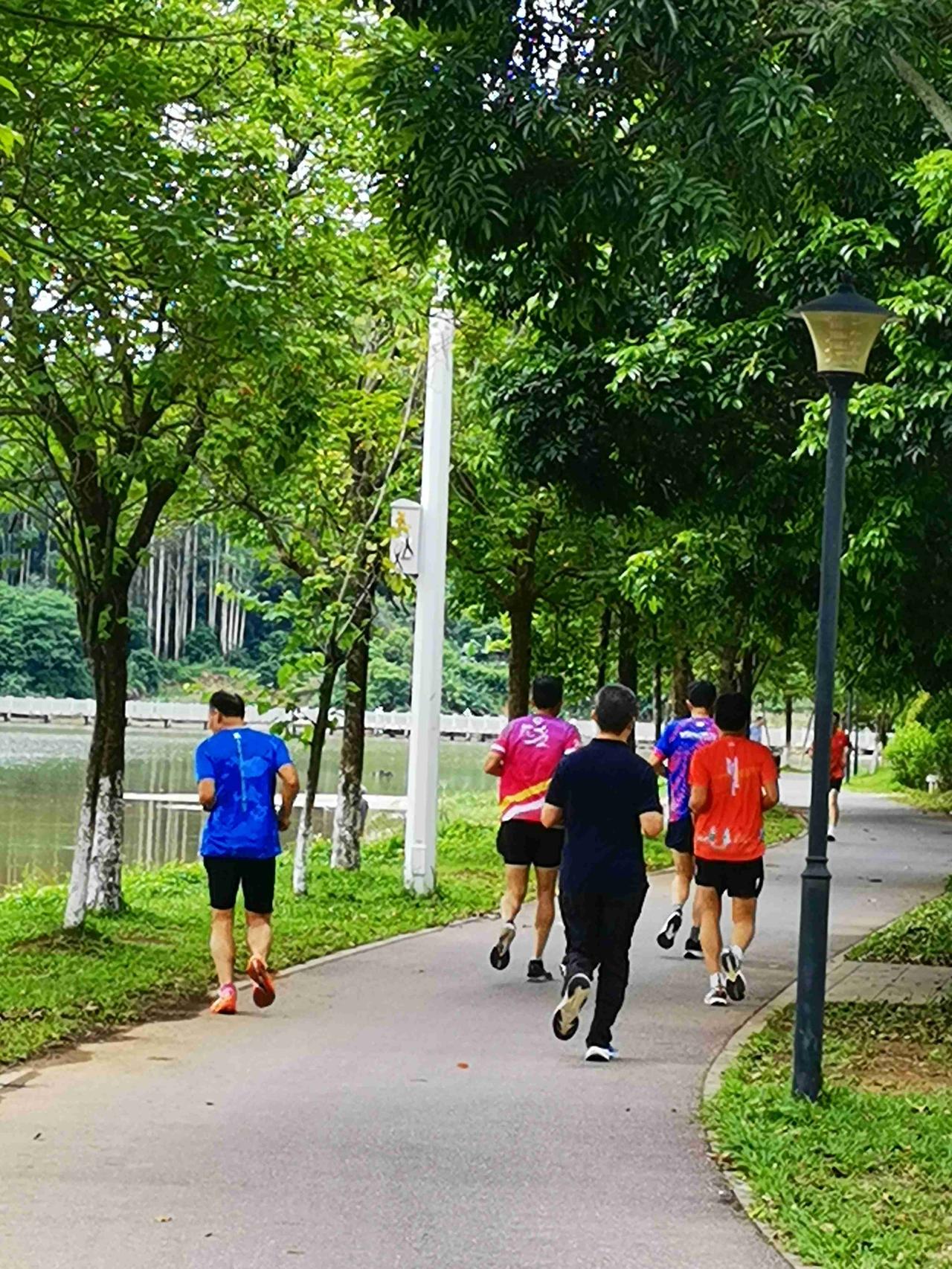 近期的广州，舒服到不想离开！
 
最近的广州天气真的格外宜人。
整日以温柔的阴天
