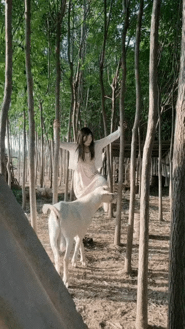 老是爬这么高干嘛