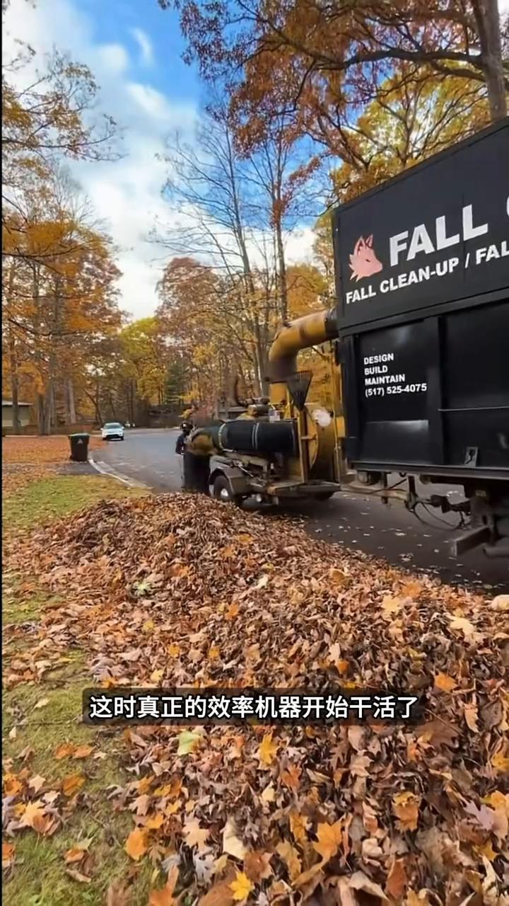 为什么国外一到秋天，街上铺满落叶却几乎看不到环卫工扫地？原来他们早就把这项工作交