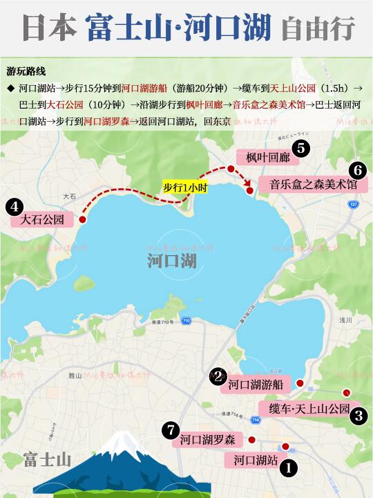 日本|富士山🗻河口湖一日游自由行攻略❗️
