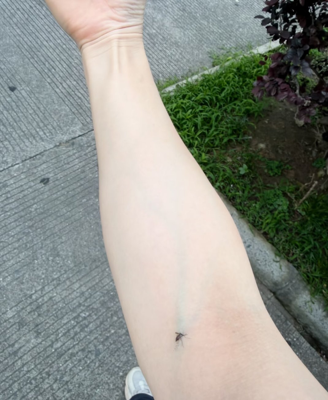 他身上有你的骨血了，过段时间将会为你诞下一子 