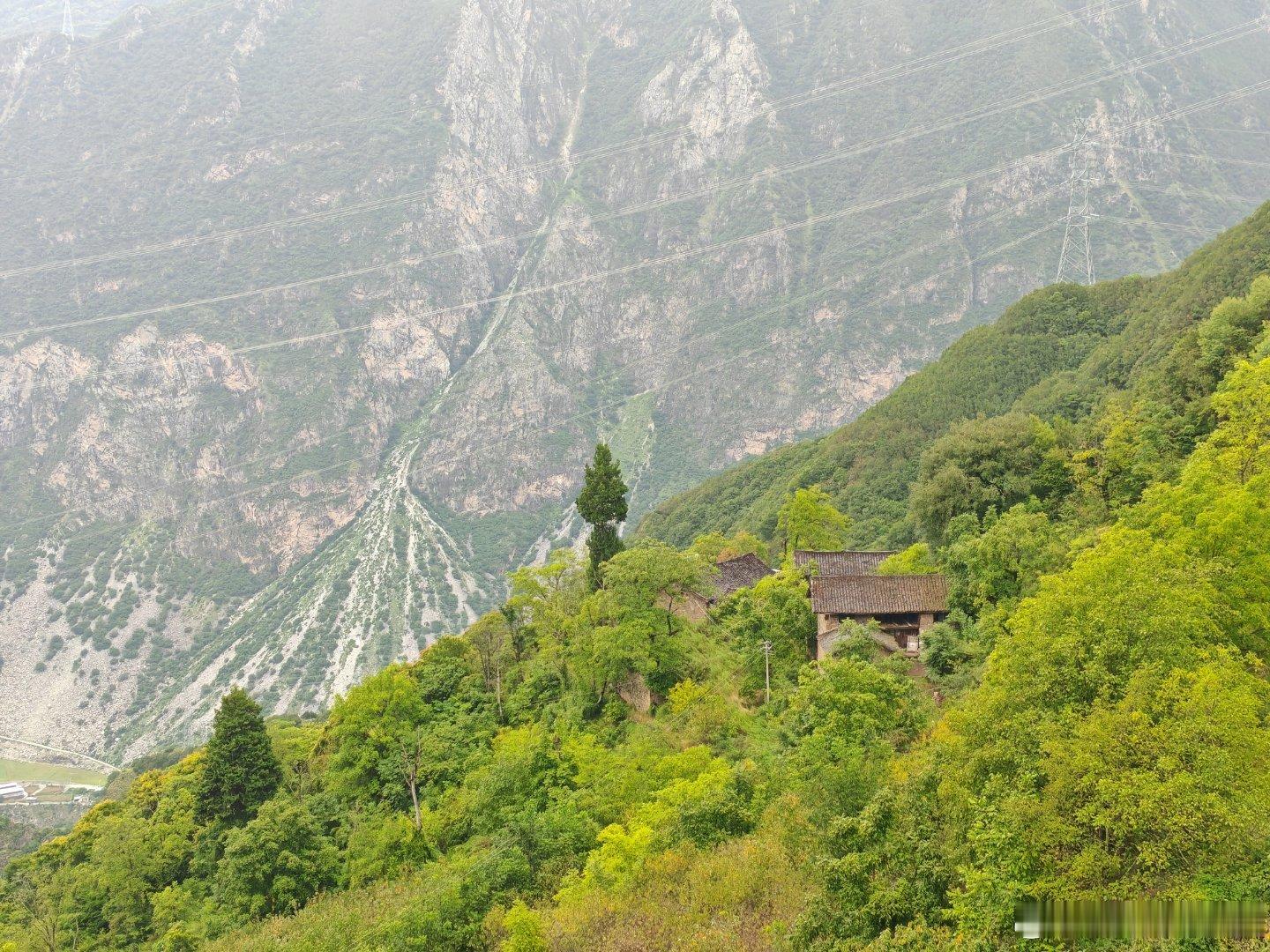 山上住了不少人家，路边到处是花椒、核桃、苹果、仙人掌。（毛哥） 