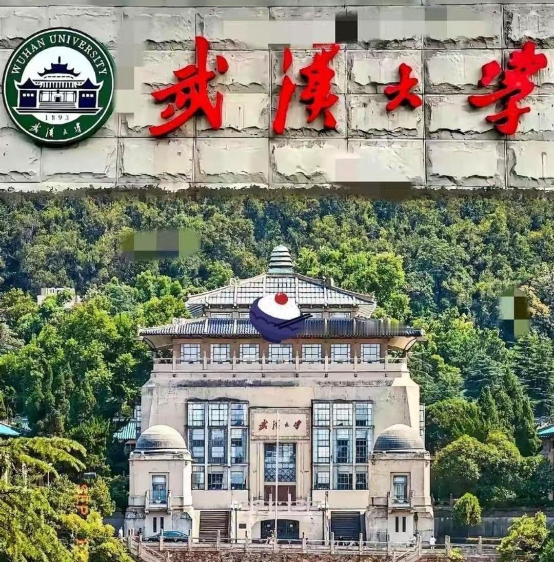 杨景媛告母校武汉大学，结果自己输了。
法院的判决很直接，驳回她全部诉求。
这事儿
