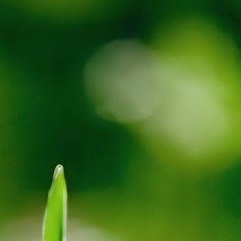 每日一善‎每日一善 ‎阳光‎信用 梦有多燃，就能飞得多远。时时有所创造、事事有所