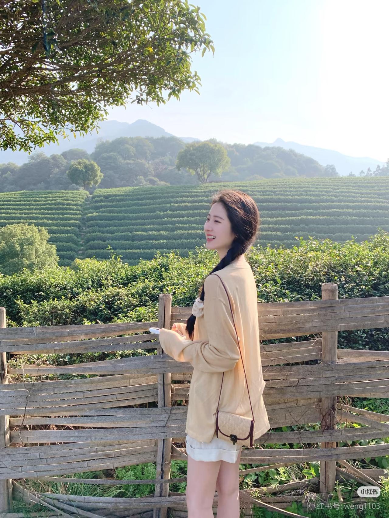 茶园春色里，笑语入画来。