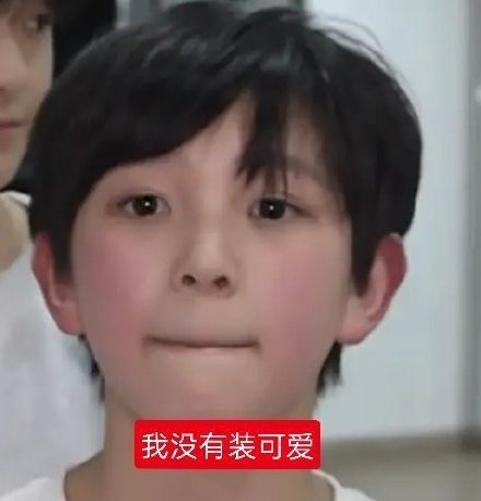 好呆啊你哈哈哈哈哈