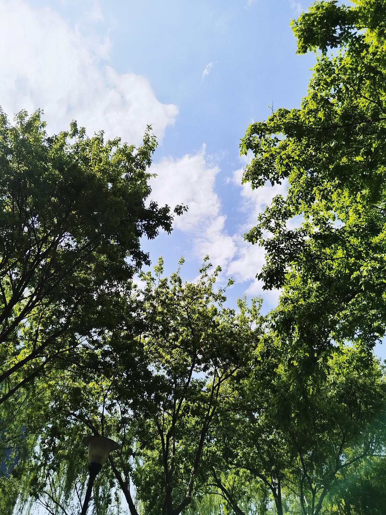 别别有洞天
冬去春来，四季轮回