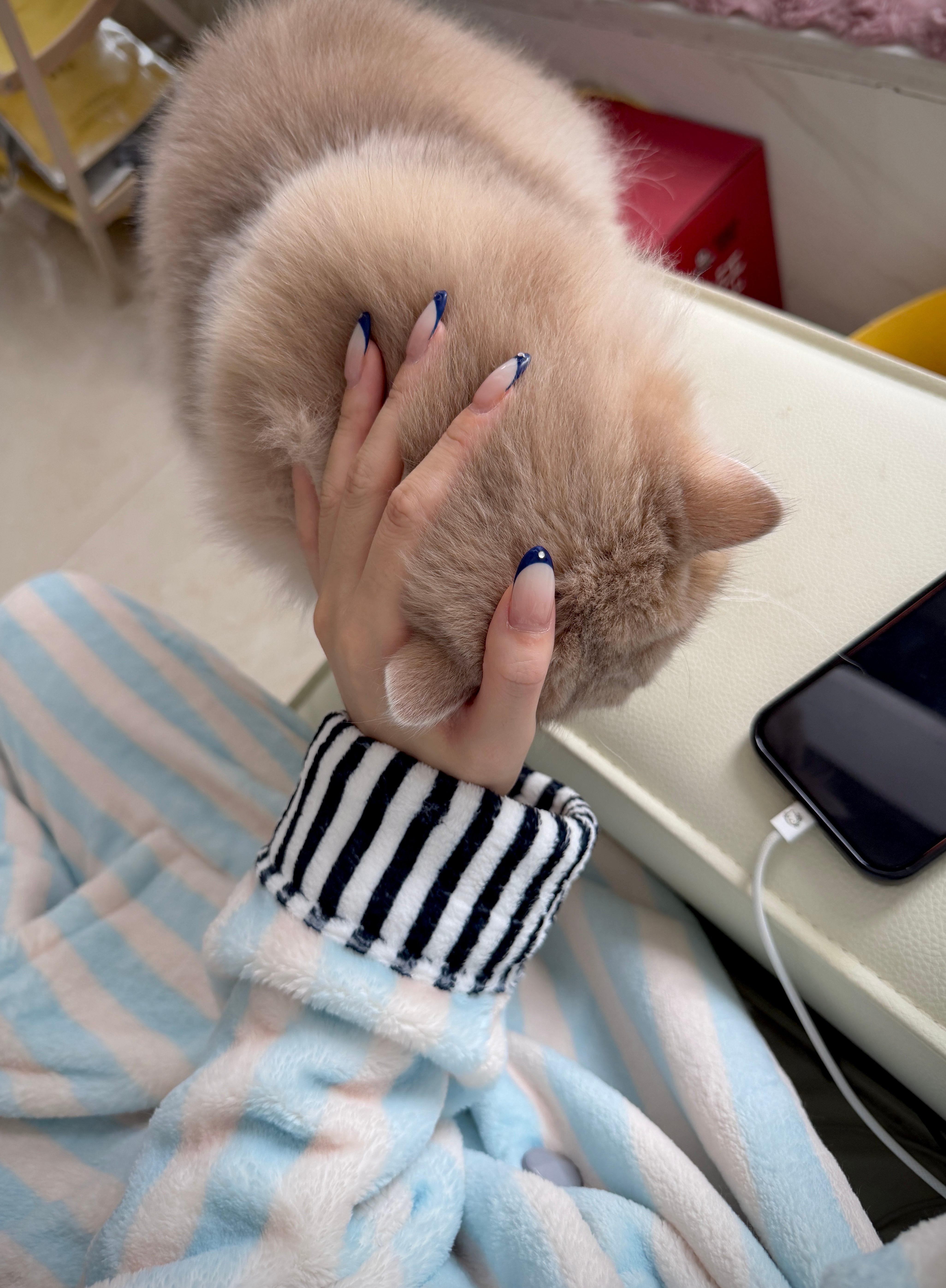 像大人一样工作 像小孩一样生活