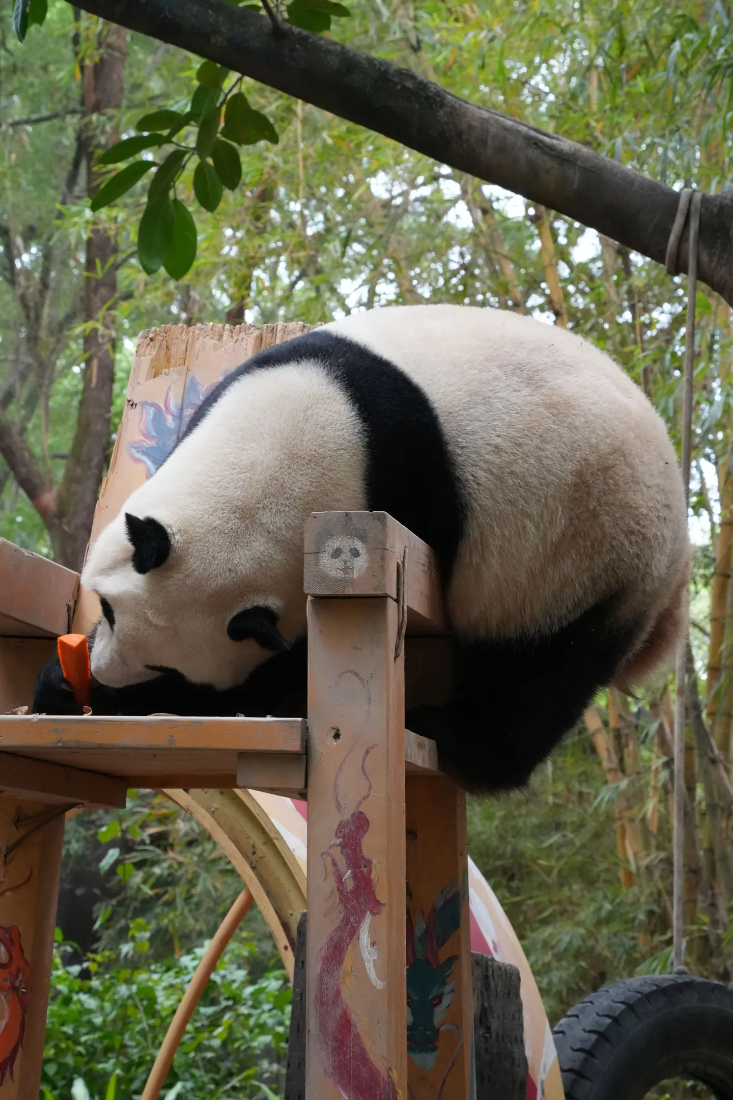 国庆，好身手。最后一张图：hea。