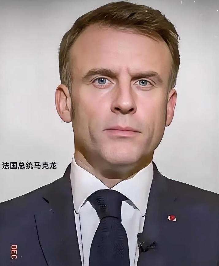 法国传来的消息
4月8日，法国总统马克龙亲口说了，大概15个国家已经行动起来，在