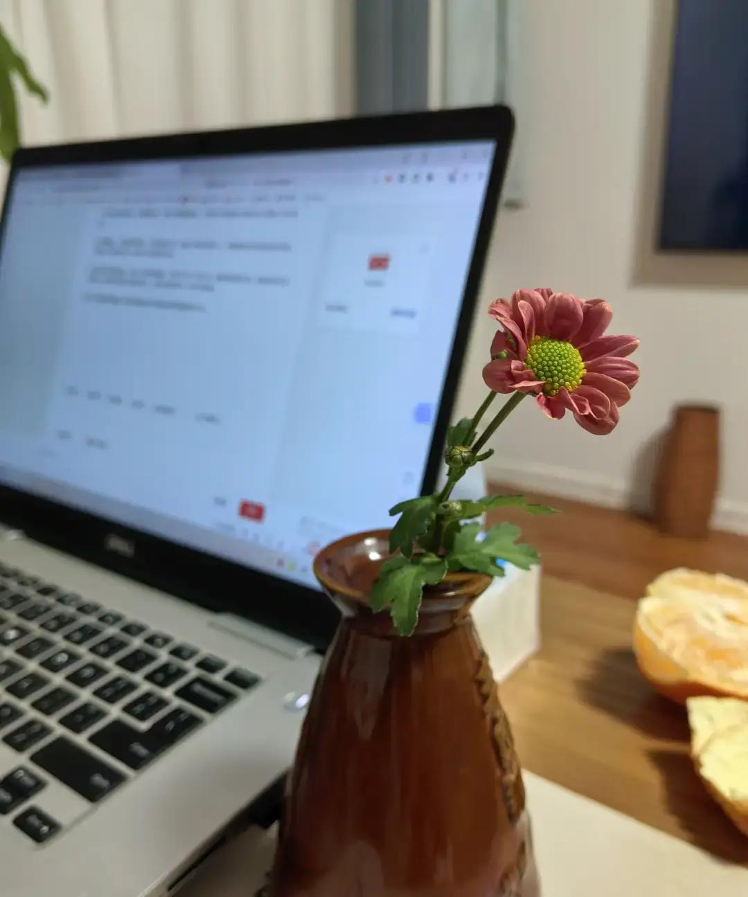 刷到个帖子，闺女出嫁第一年，娘家得按老规矩去她婆家那边给二姨舅舅挨个拜年，少一户