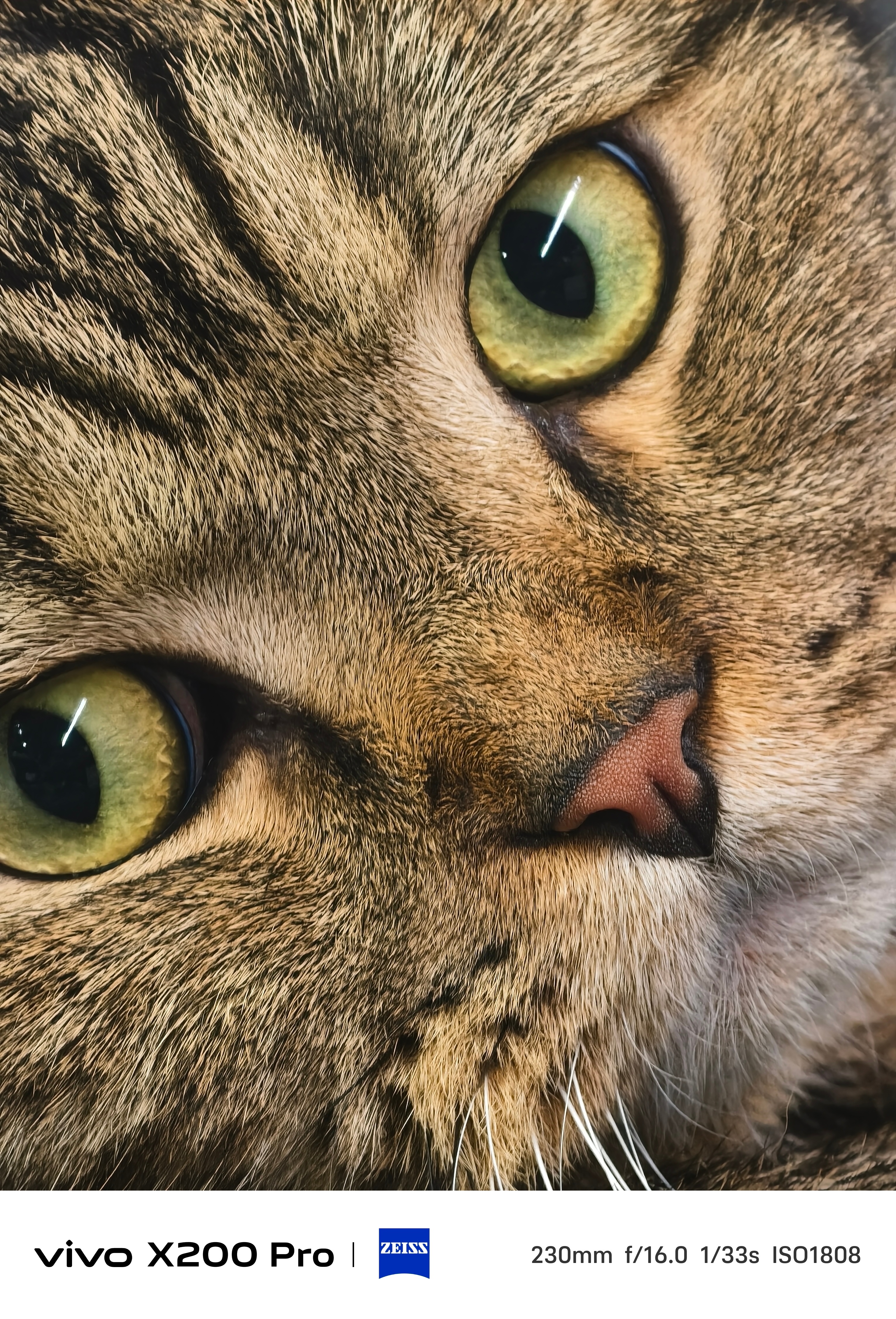 瞧你这清澈的小眼神👀 