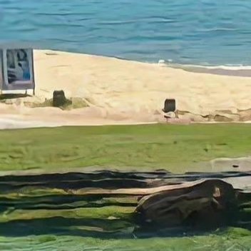 森林驿站 🐼熊猫守护者 🐼森林驿站 日积一善，久则必为江河之水；日积一恶，久