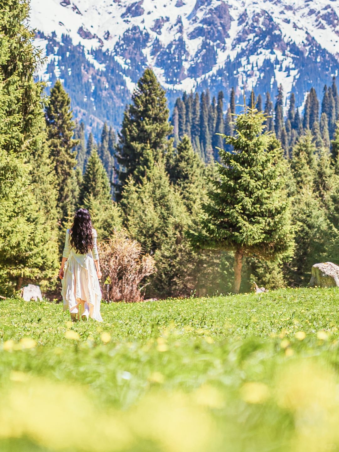 接下来的天山伊犁💐是一万次的春和景明