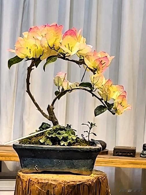 三妹把钱揣在口袋里，对两位姐姐说，老妈以后就交给你们了，我不管也不要！记录我的2