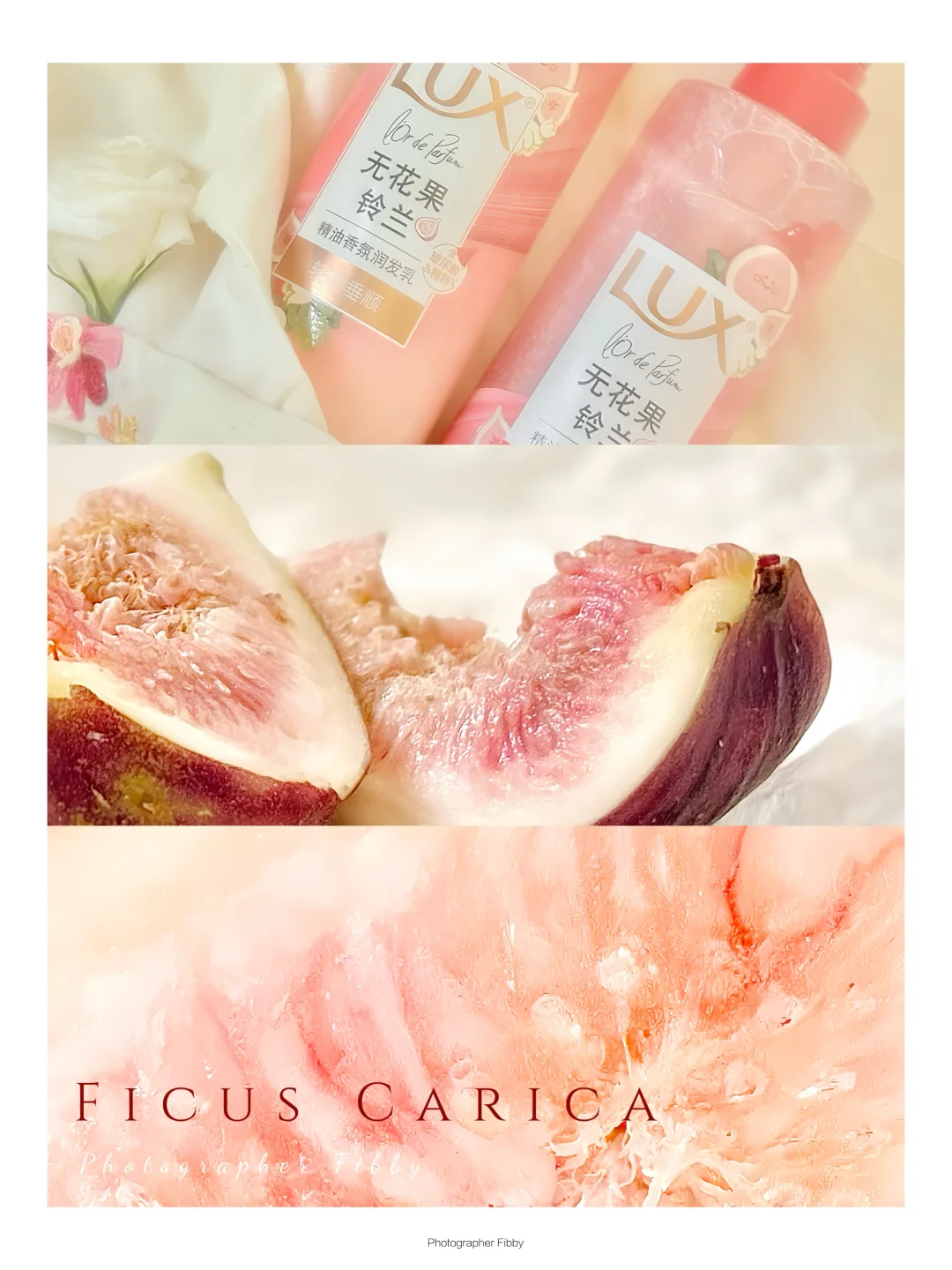 水果这样构图➕滤镜秒get高级氛围感海报💛