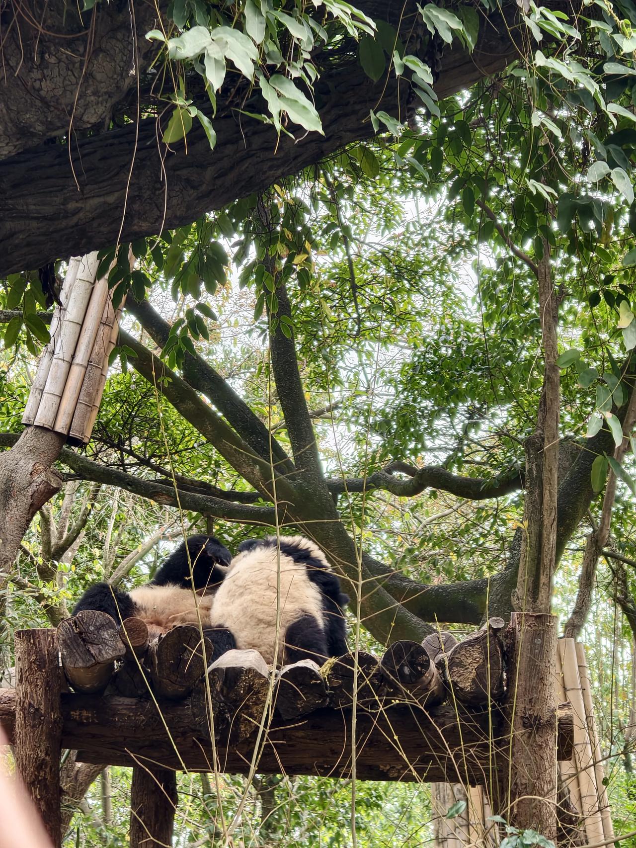 如果是我设计油价的调整方案，我会以布伦特原油价格为基准进行调整。

当布伦特原油