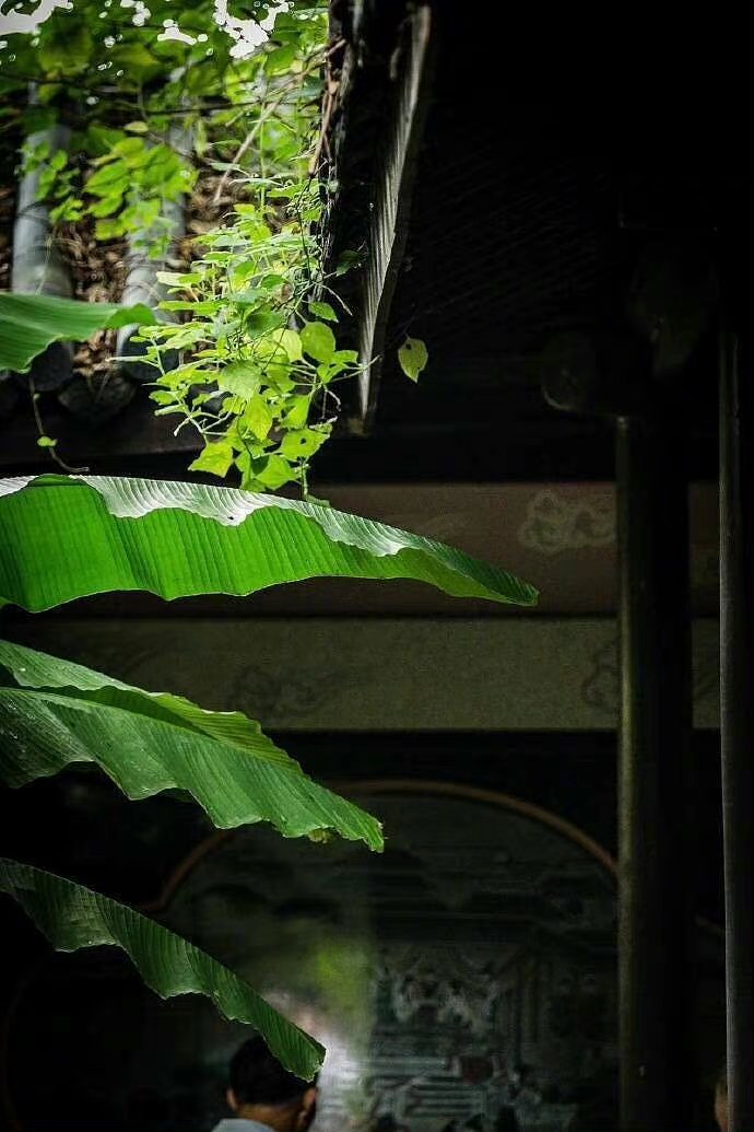 “今天飞花令｜主题【风、雨】古诗词 ”                     