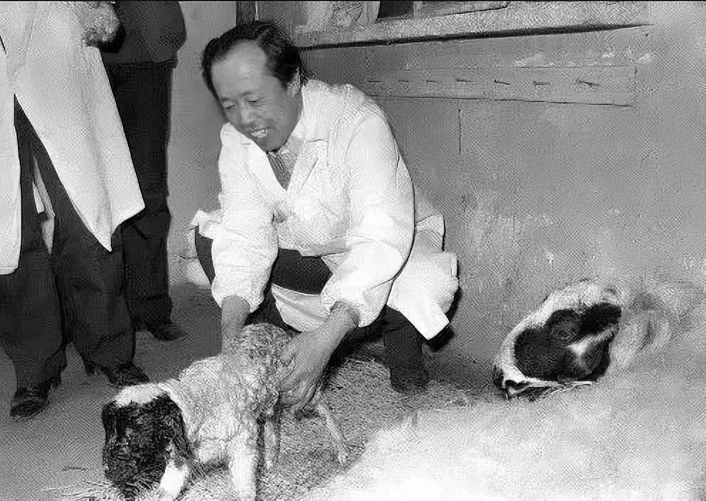 1984年3月9日，世界上第一只试管羔羊（试管山羊）诞生，由中国蒙古族兽医学博士