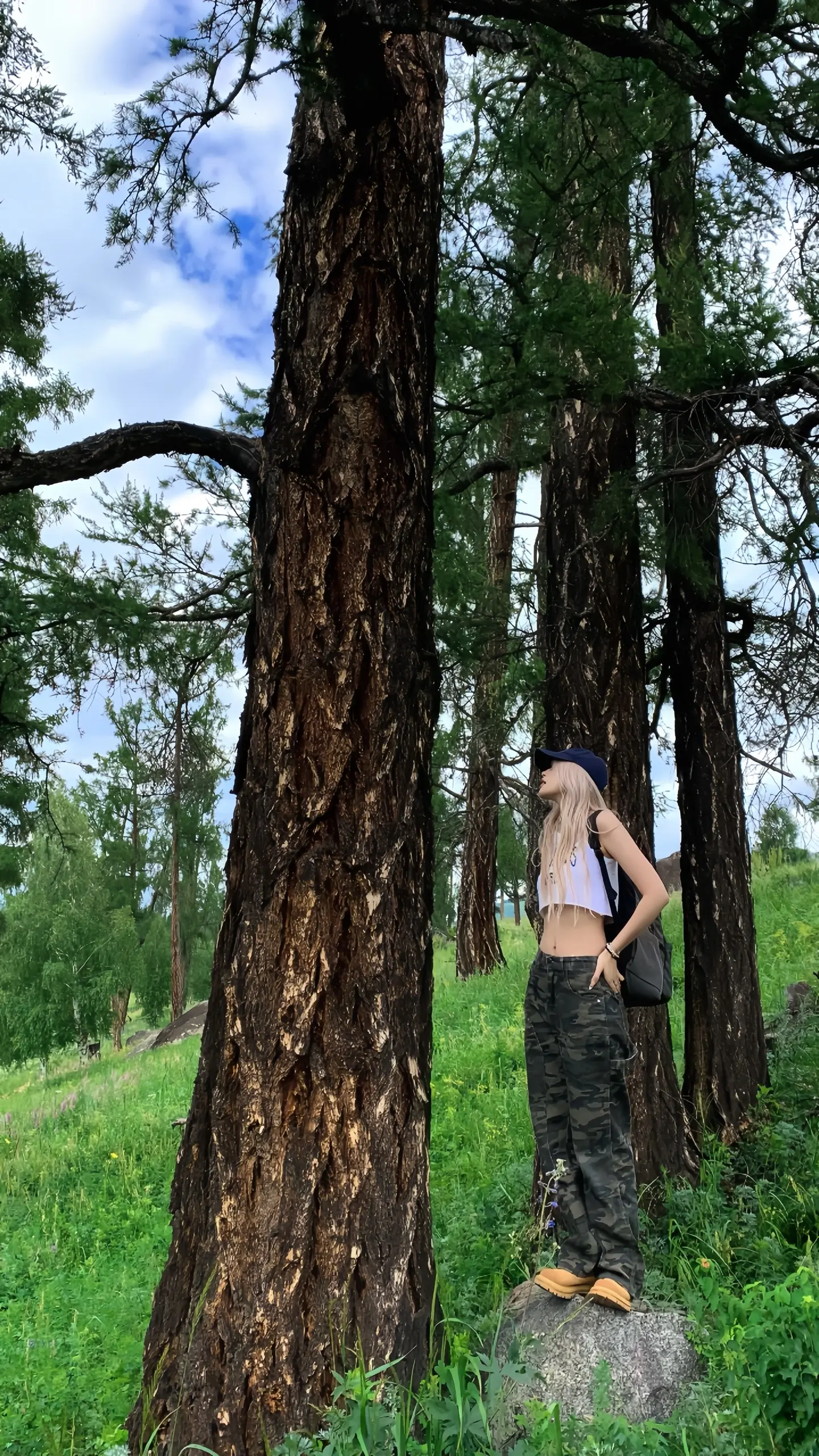 自由一生是我全部的野心。