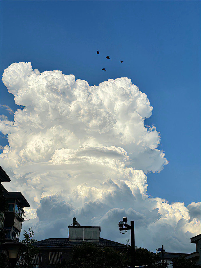 云朵收藏家☁️ ​ ​​​