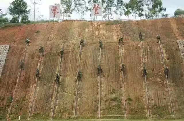 那年，我们攀越的不只是山坡，是青春的巅峰。🪨⛰️  军旅回忆 那年，我们攀越的