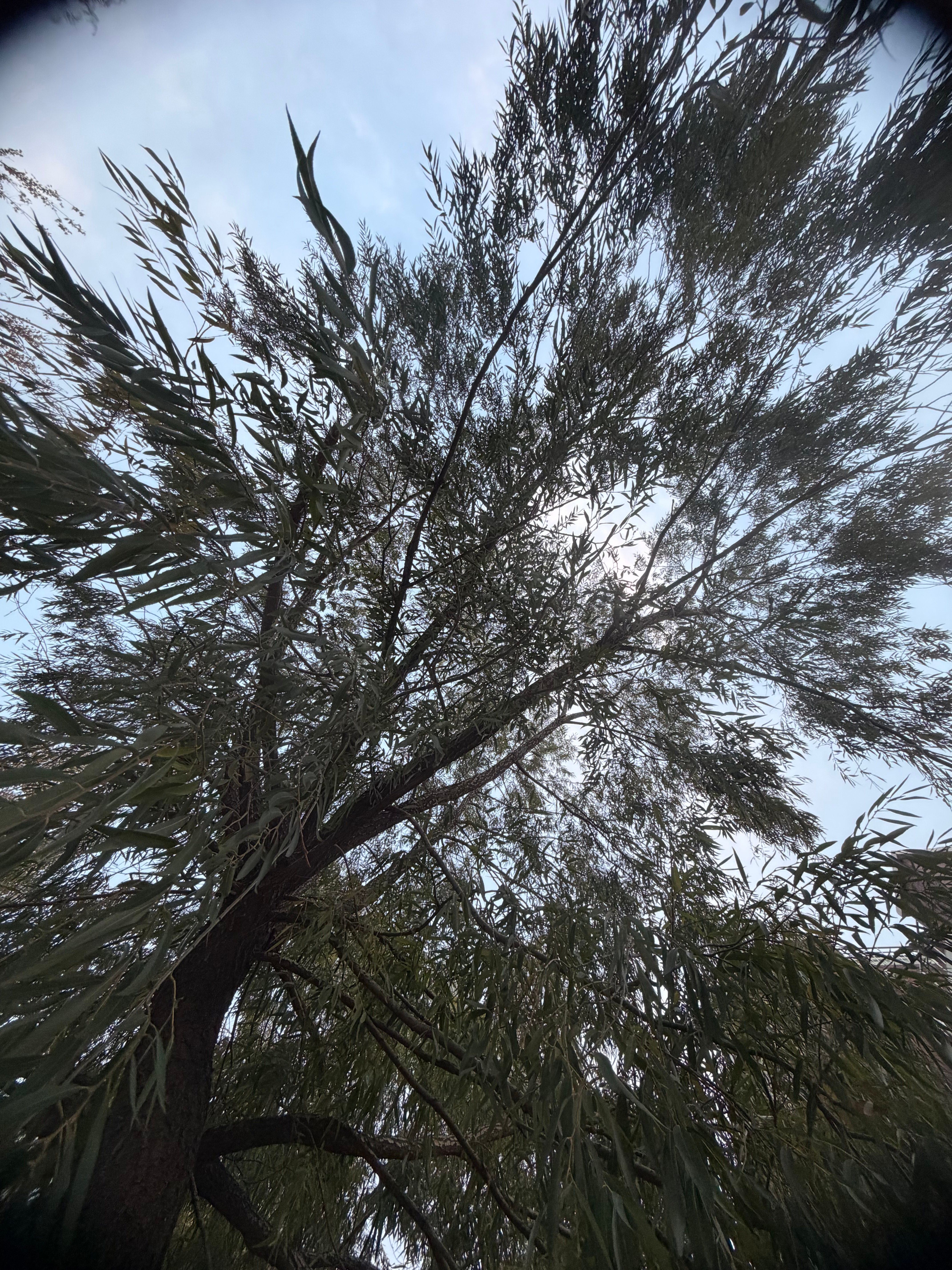 故事的开始往往是，你将美好的幻想投射到别人身上。故事的最后是，你痛恨别人没有成全