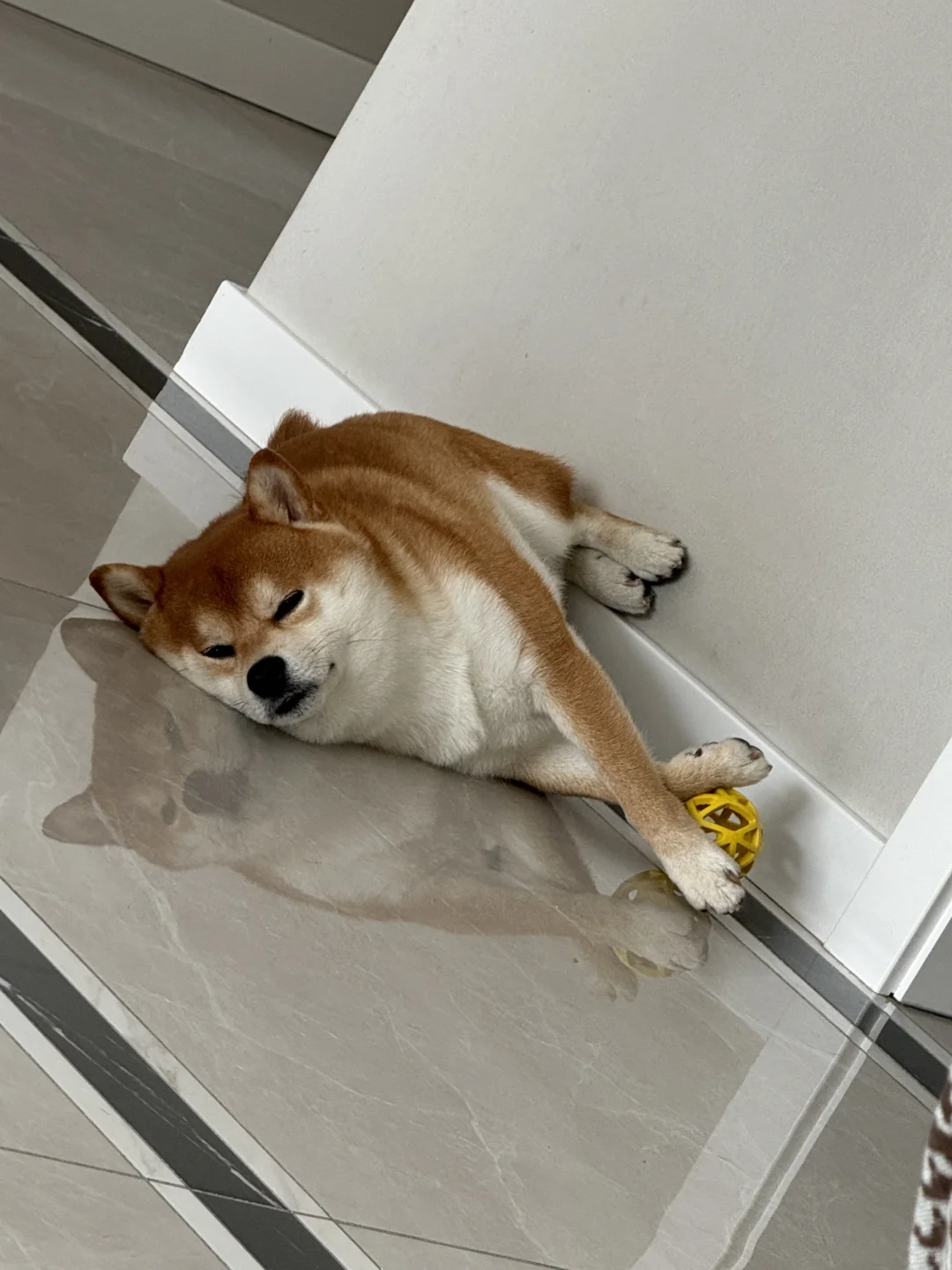 谁也别想抢走我的球哦