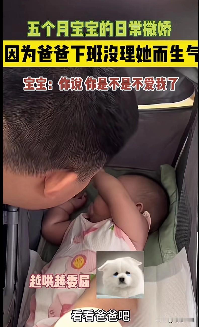 “家人们谁懂啊！五个月的人类幼崽也太会撒娇了吧！就因为爸爸下班没及时理她，直接开