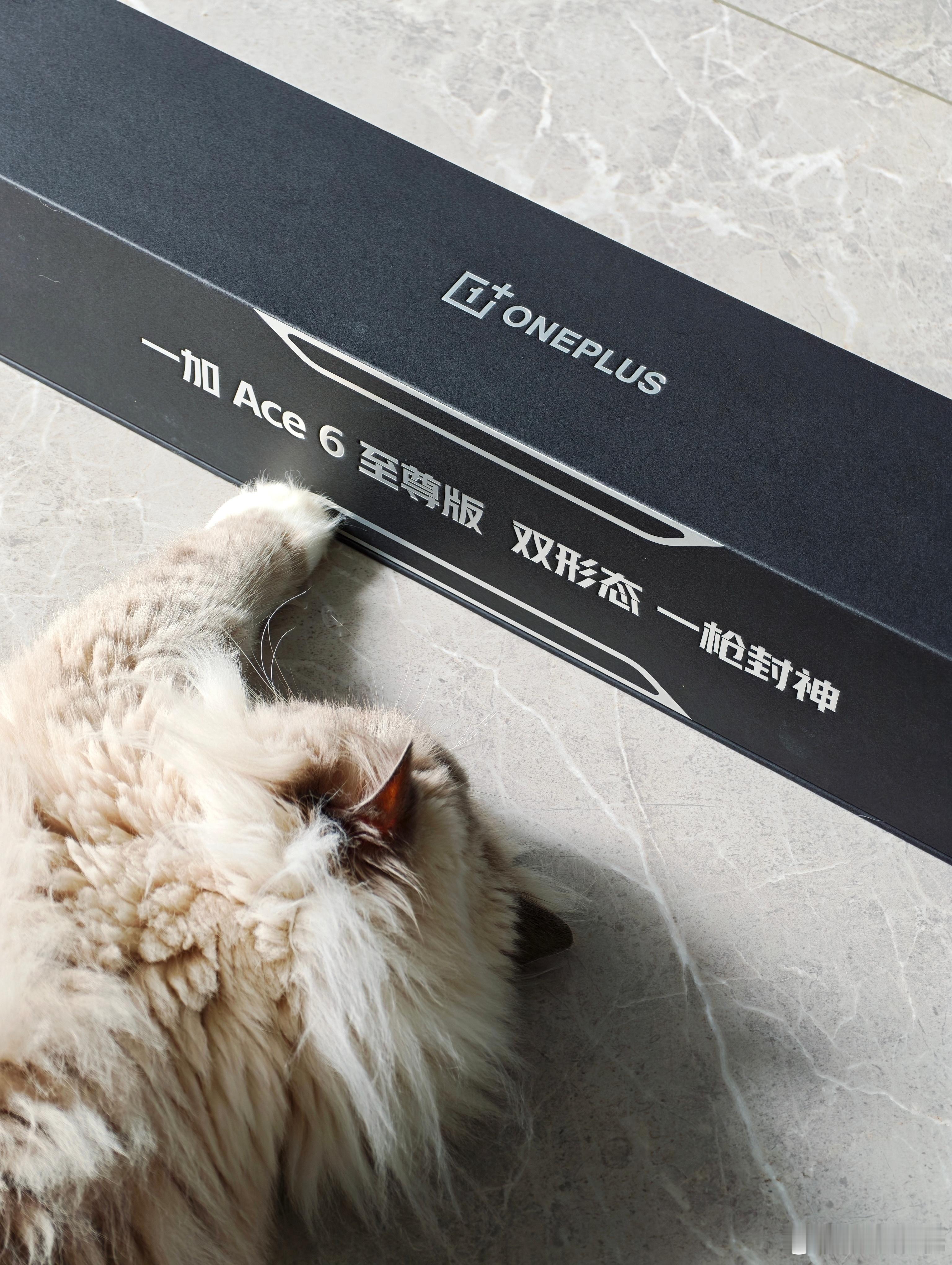 一加Ace 6 至尊版的邀请函是把枪型手柄的雨伞，挺好玩的，不过带出去真的不会吓