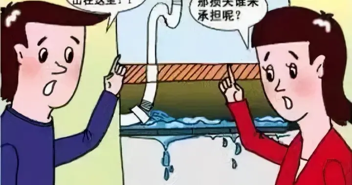 【以案说法】刚交付的新房，因洗碗机漏水全屋被浸，谁该负责？