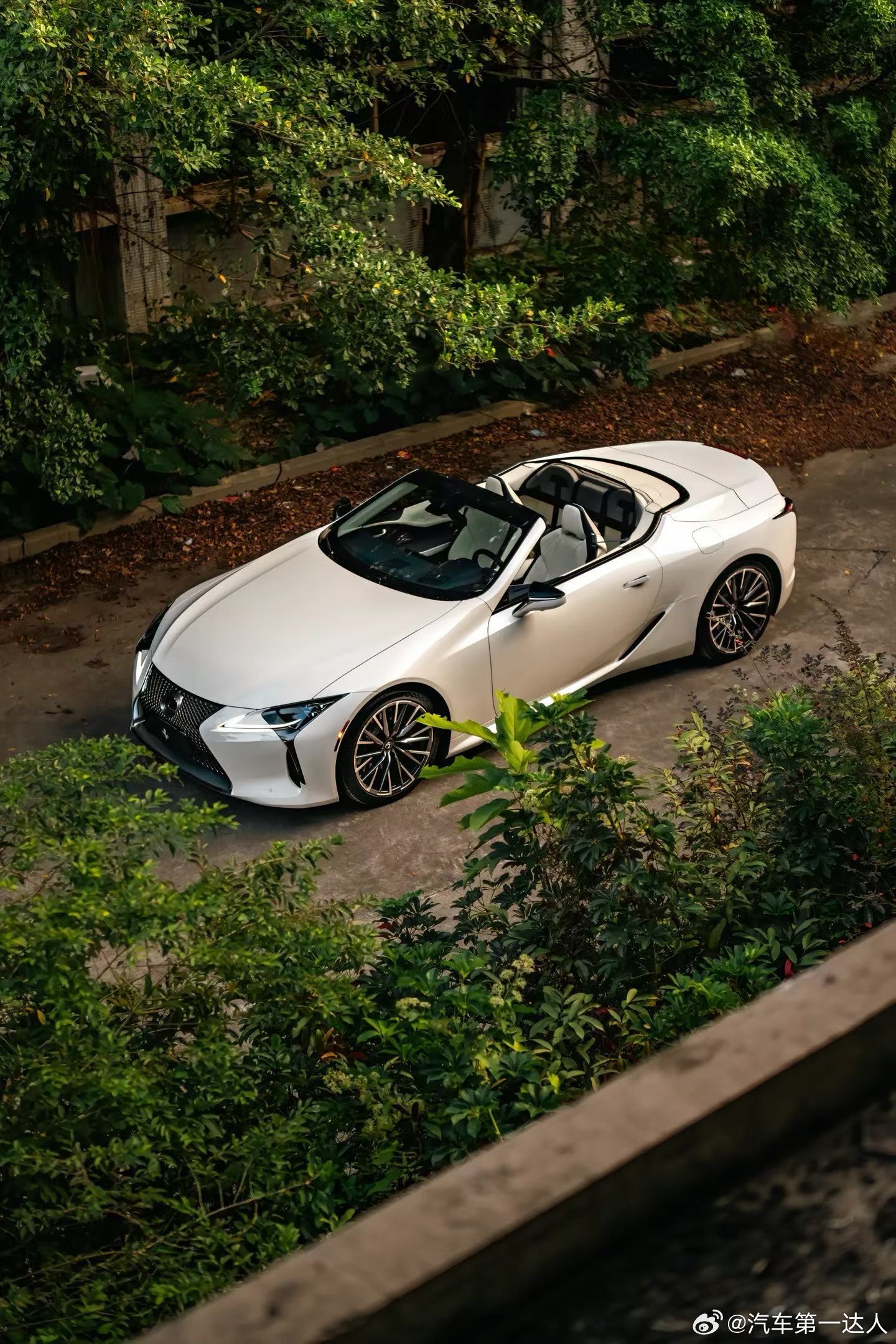 Lexus LC500敞篷V8 不带H，高定版配色，谁能拒绝 