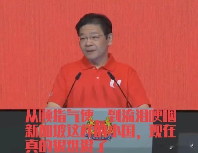 五一新加坡总理黄循财发表讲话，期间他哽咽落泪，说新加坡是小国，生存困难，已到艰难