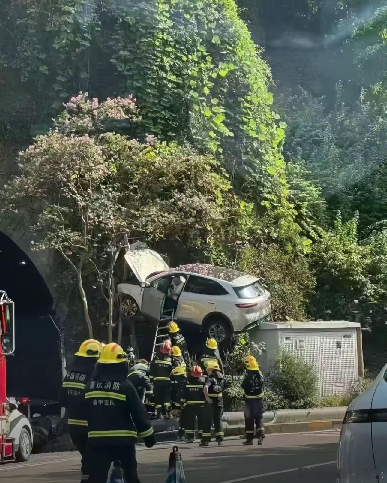 抖上内这辆飞车刷屏了，樱花树下站车都美，更何况人。 