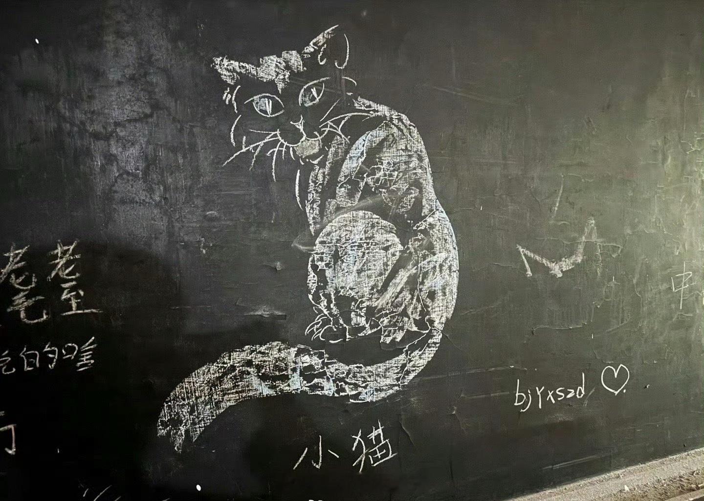 王星越删博王星越想分享随手拍的小猫结果没注意图片下面有“bjyxszd”几个字母