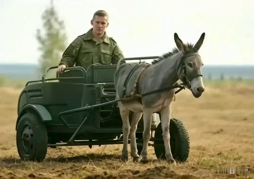 大兵坐着小驴车