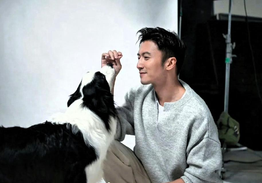 谢霆锋真的又酷又暖心！不是空喊爱动物，而是直接把专属麦架拍卖捐给流浪毛孩子，实干