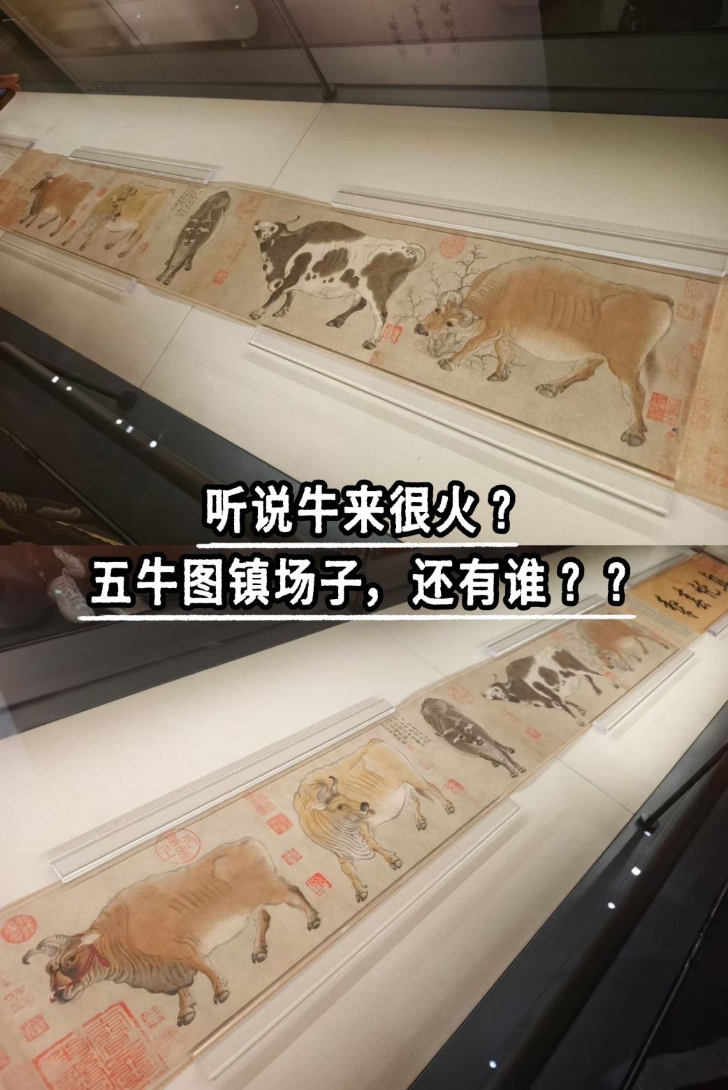 牛来听说牛来很火？五牛图镇场子，还有谁？？ 