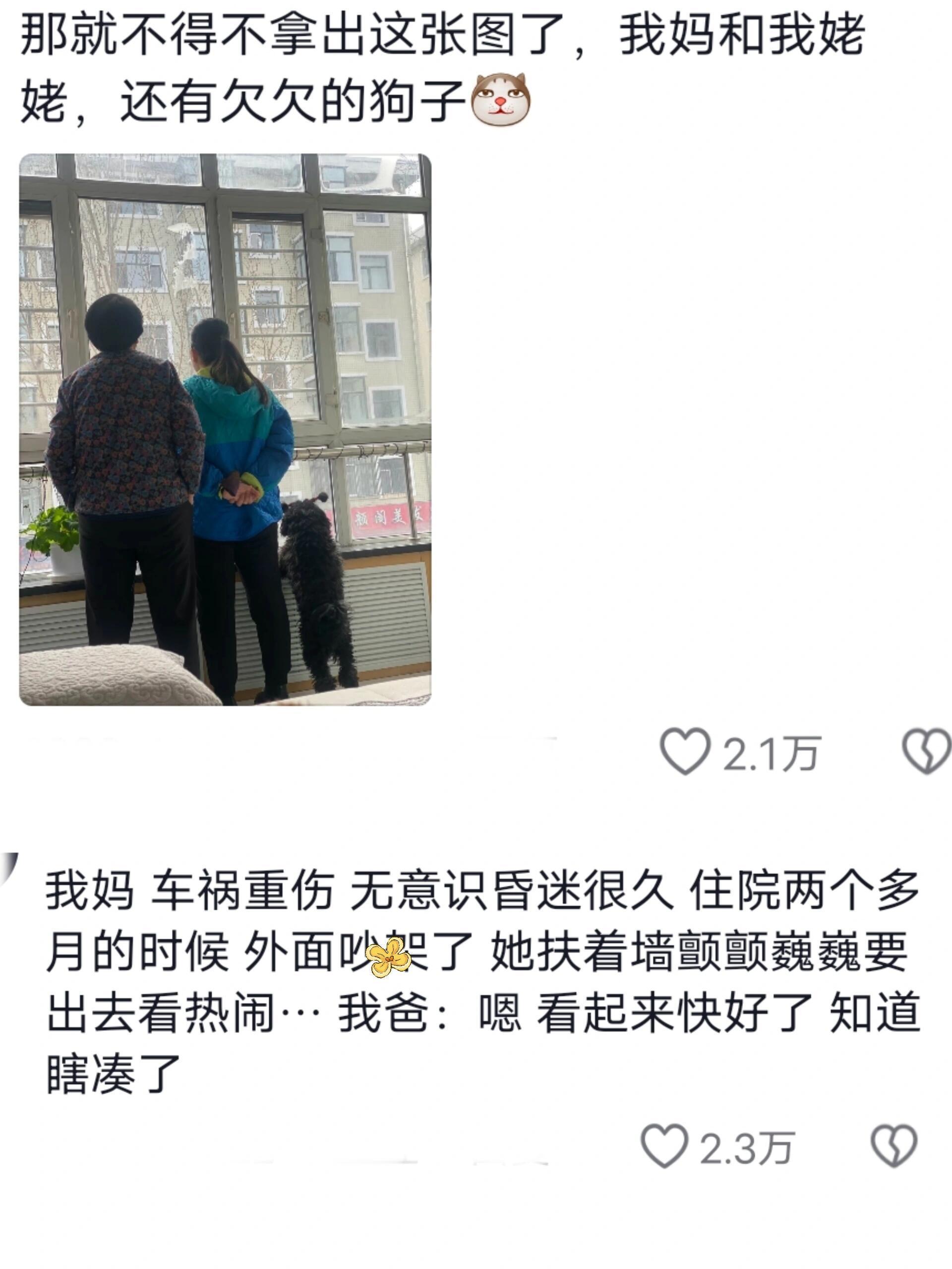 饭可以不吃 热闹不能不看 ​​​