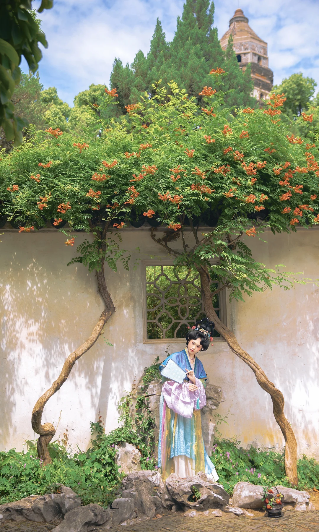 客｜“油画般的虎丘”🎨满屏视觉盛宴