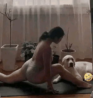 瑜伽与狗