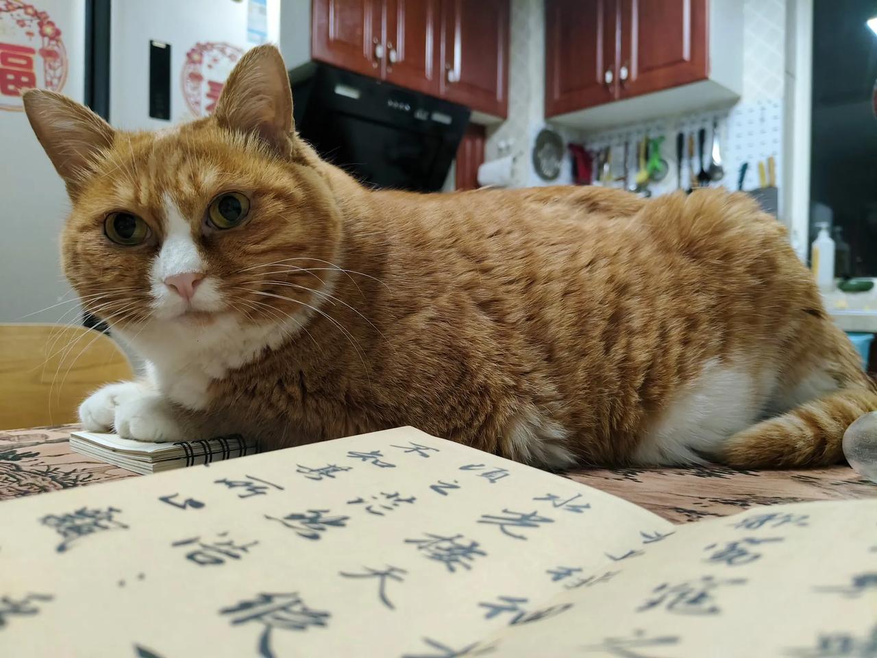 你们练字练了多久呢?  被群里老师和师兄弟半真半假的夸有天赋，不知道该怎么想。