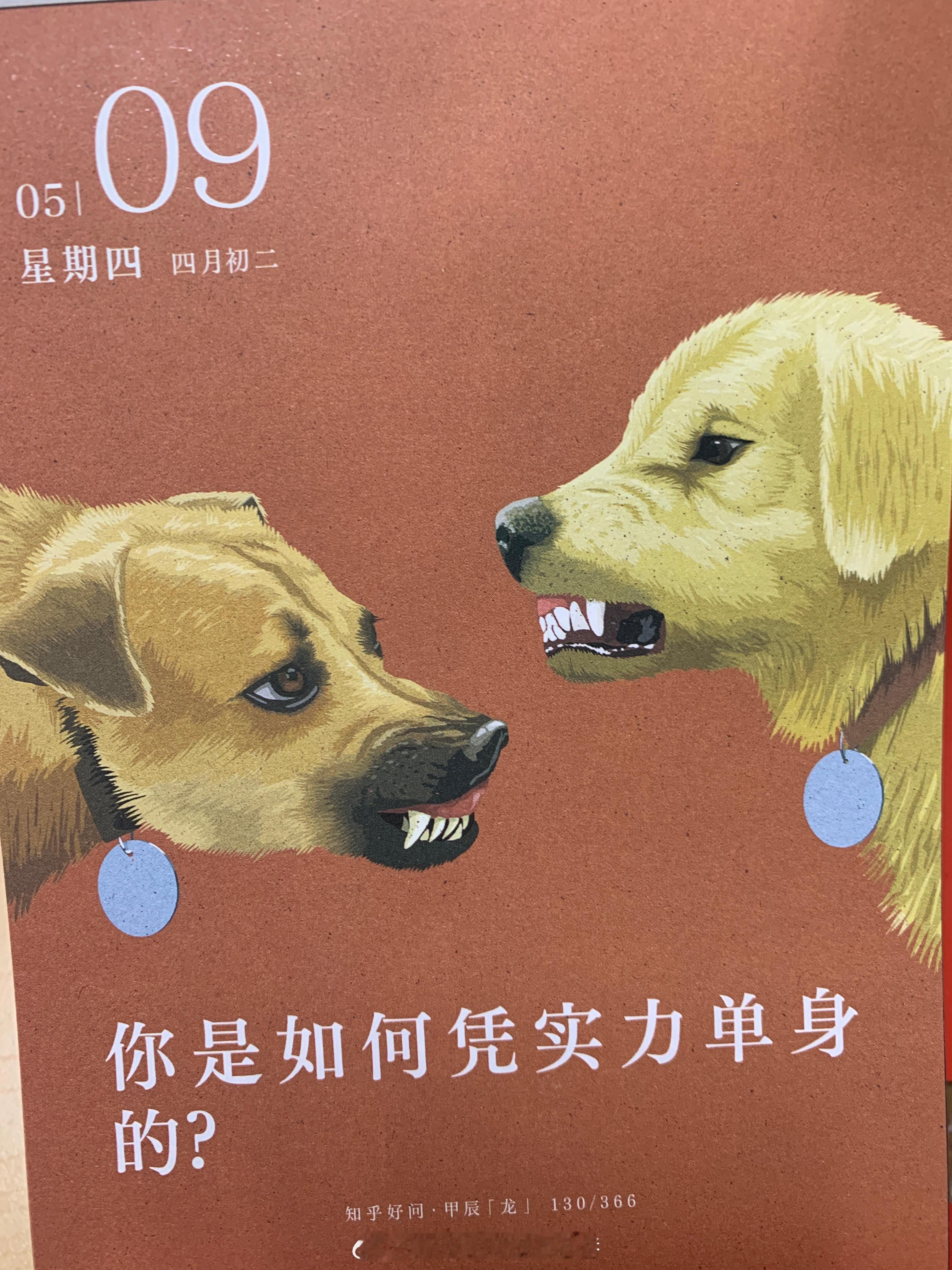 早上好朋友们 ​​​