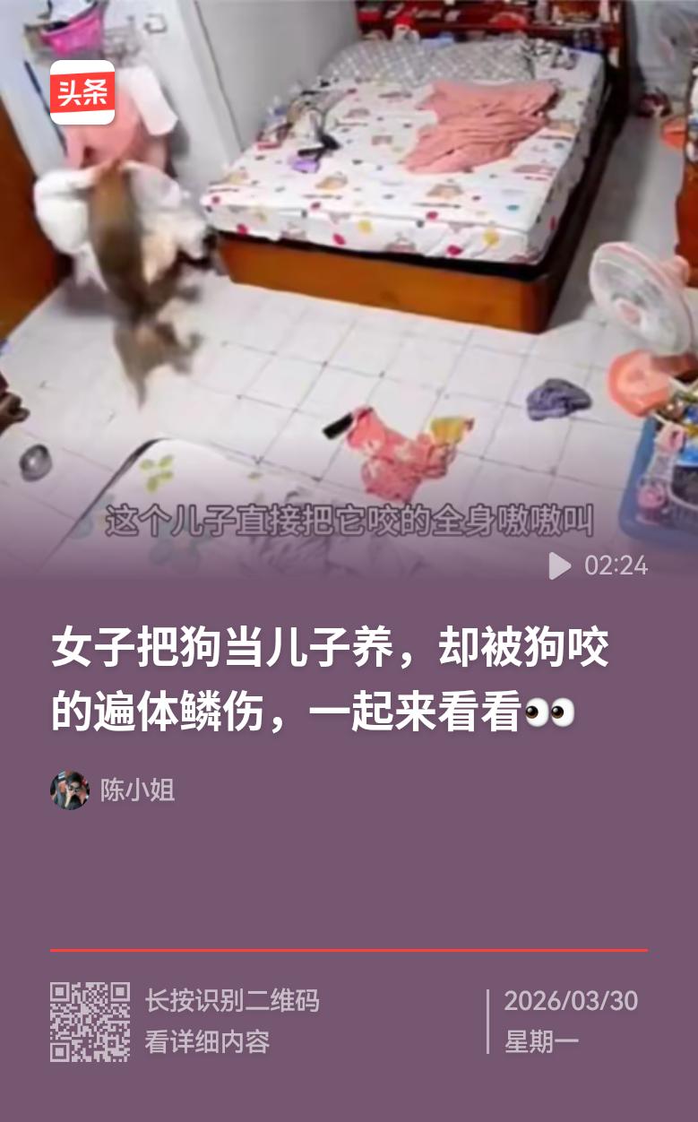 如今的人都把狗称作（儿子），可这“儿子”发起疯来，连自己爹妈都六亲不认。不信你瞧