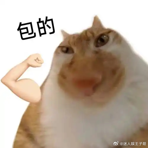 专家回应网友纷纷自诊前额叶受损 日常工作生活里，决策纠结、容易烦躁、记性变差，都