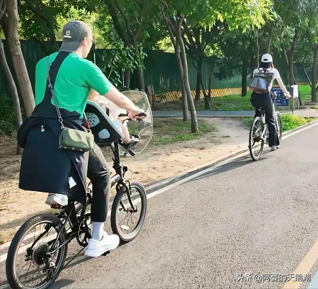要么藏成机密要么当摇钱树，突破“明星带娃”枷锁的背后，竟藏着他的童年？

陈伟霆