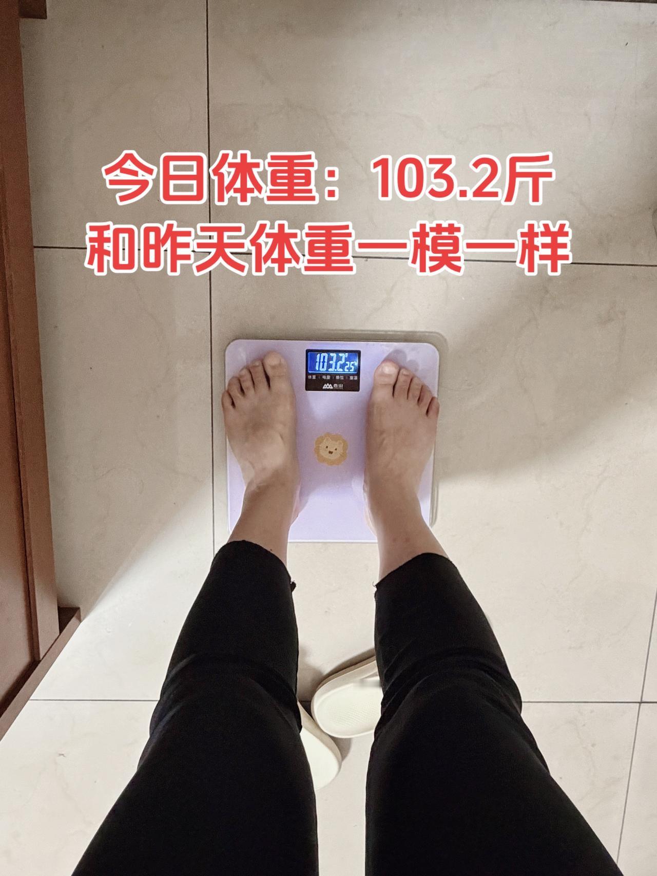 自律减脂健康餐，目标95斤，加油
今日减脂早餐：玉米馒头+黄瓜+鸡蛋+豆浆