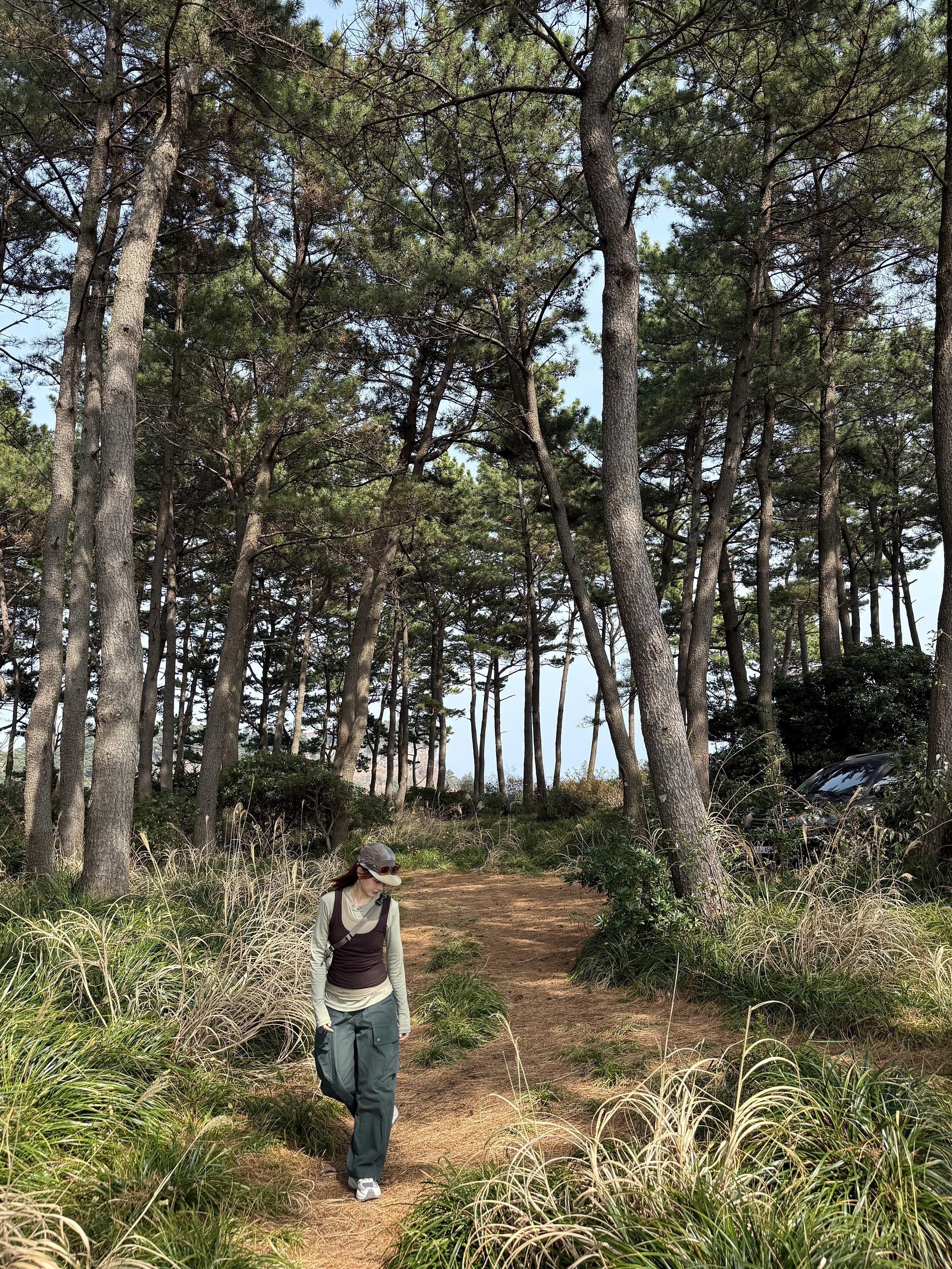 踏青去🌲 Hiking in the forest.